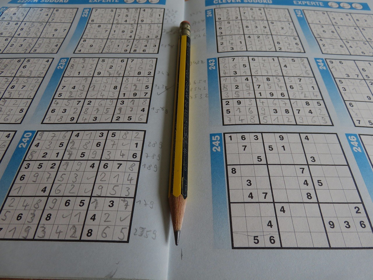 A photo of a typical puzzle game.