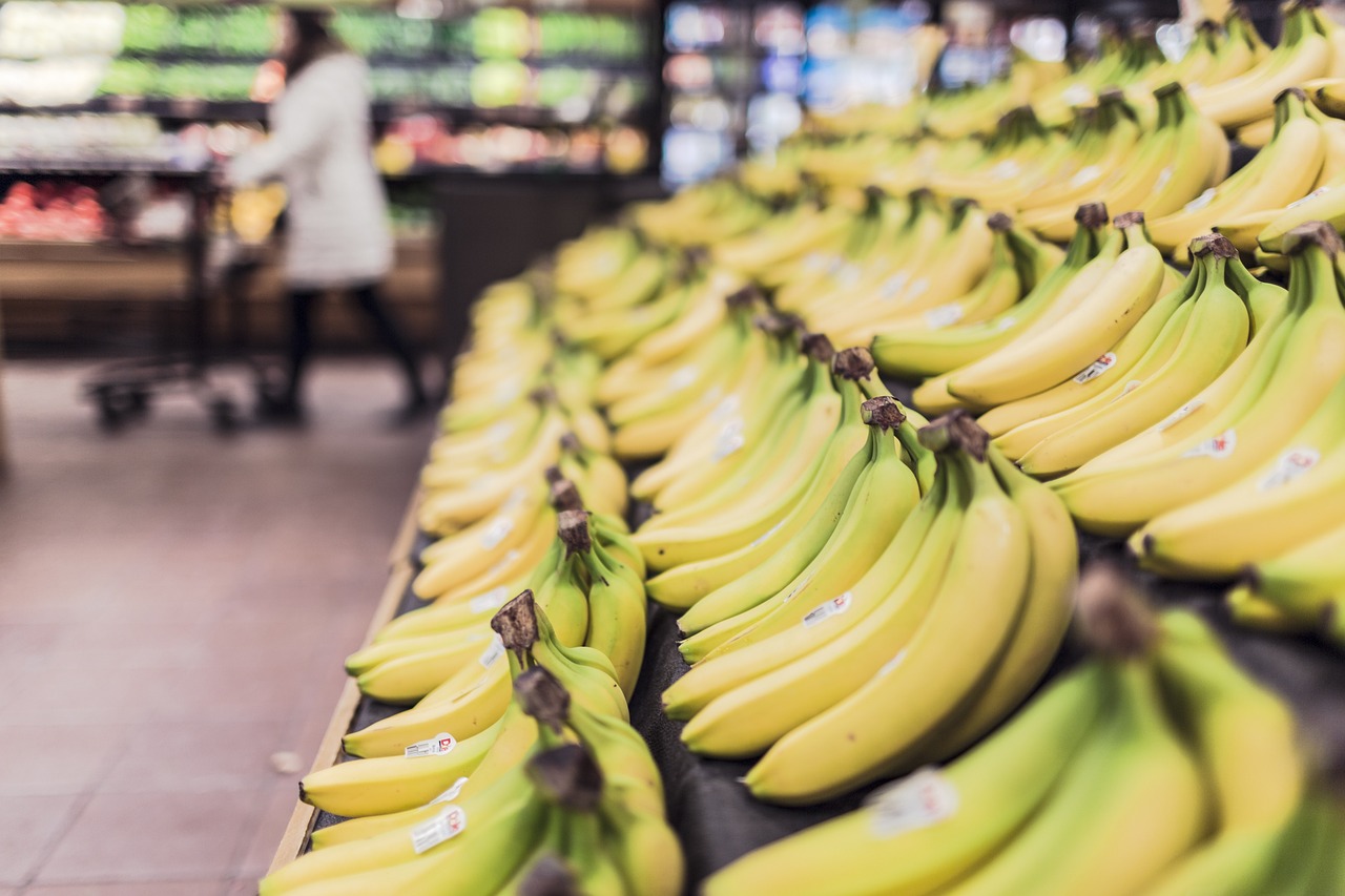 Typical bananas found in a supermarket.