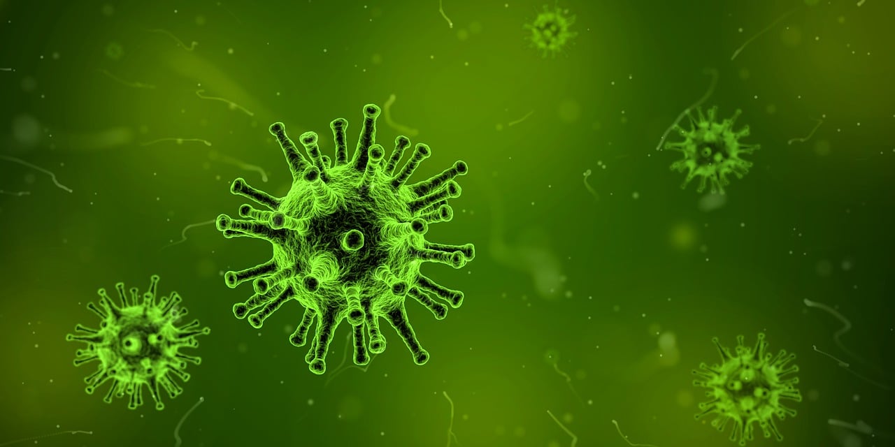 A depiction of a flu virus